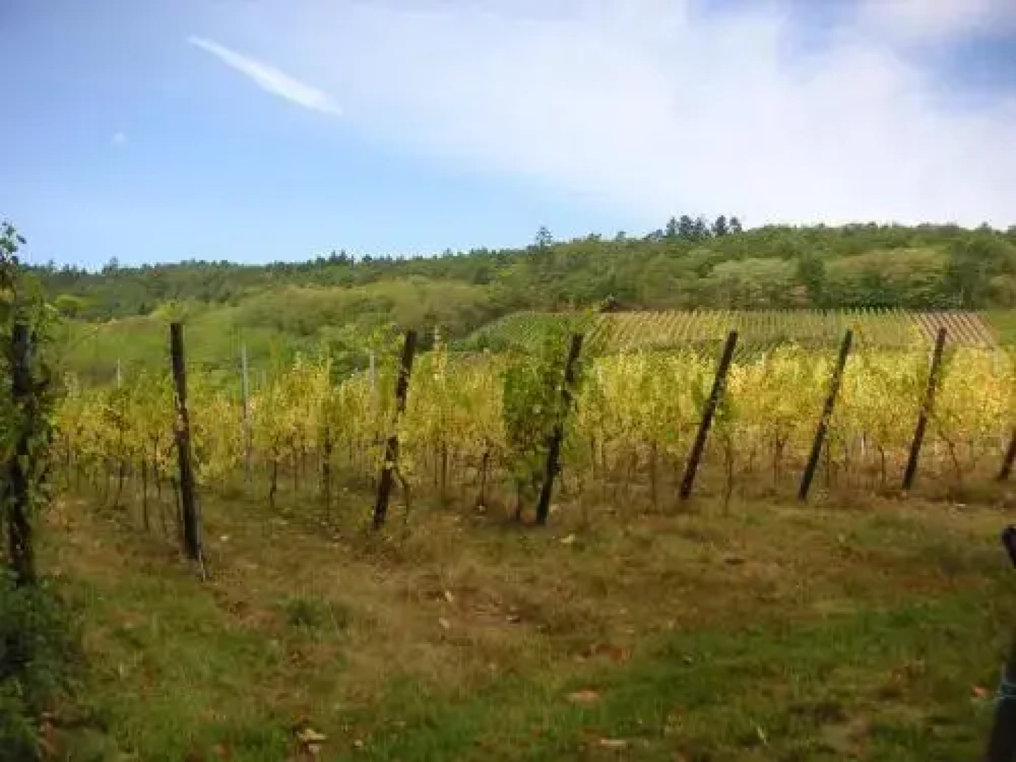 Appartements Les clés des Vignes