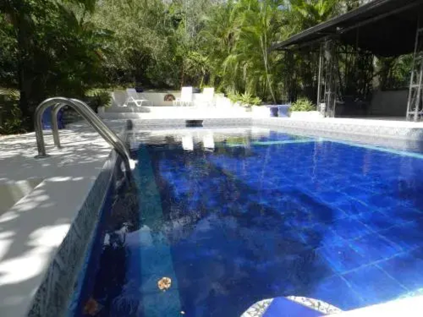 The Orchid Tree B&B Costa Rica