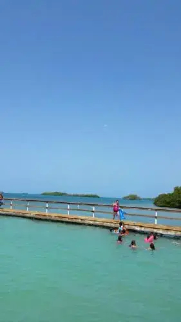 Ocean View