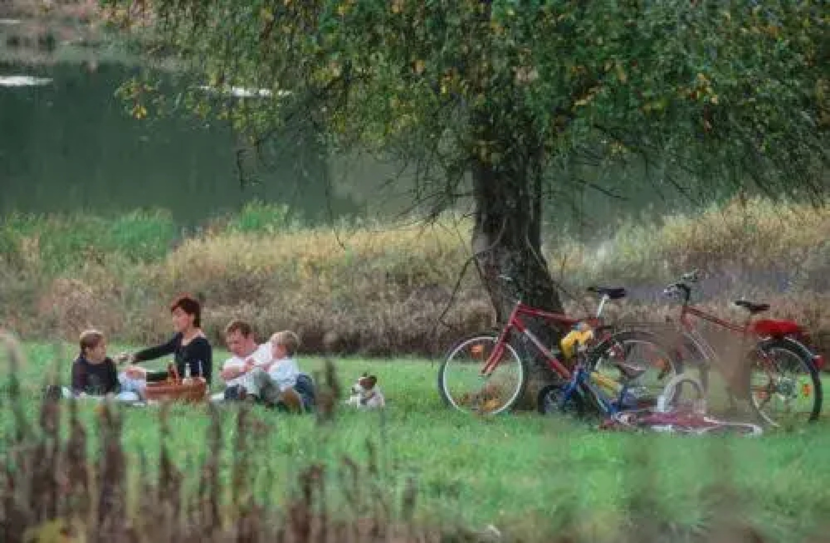 Gasthof Hotel Zum Weinberg