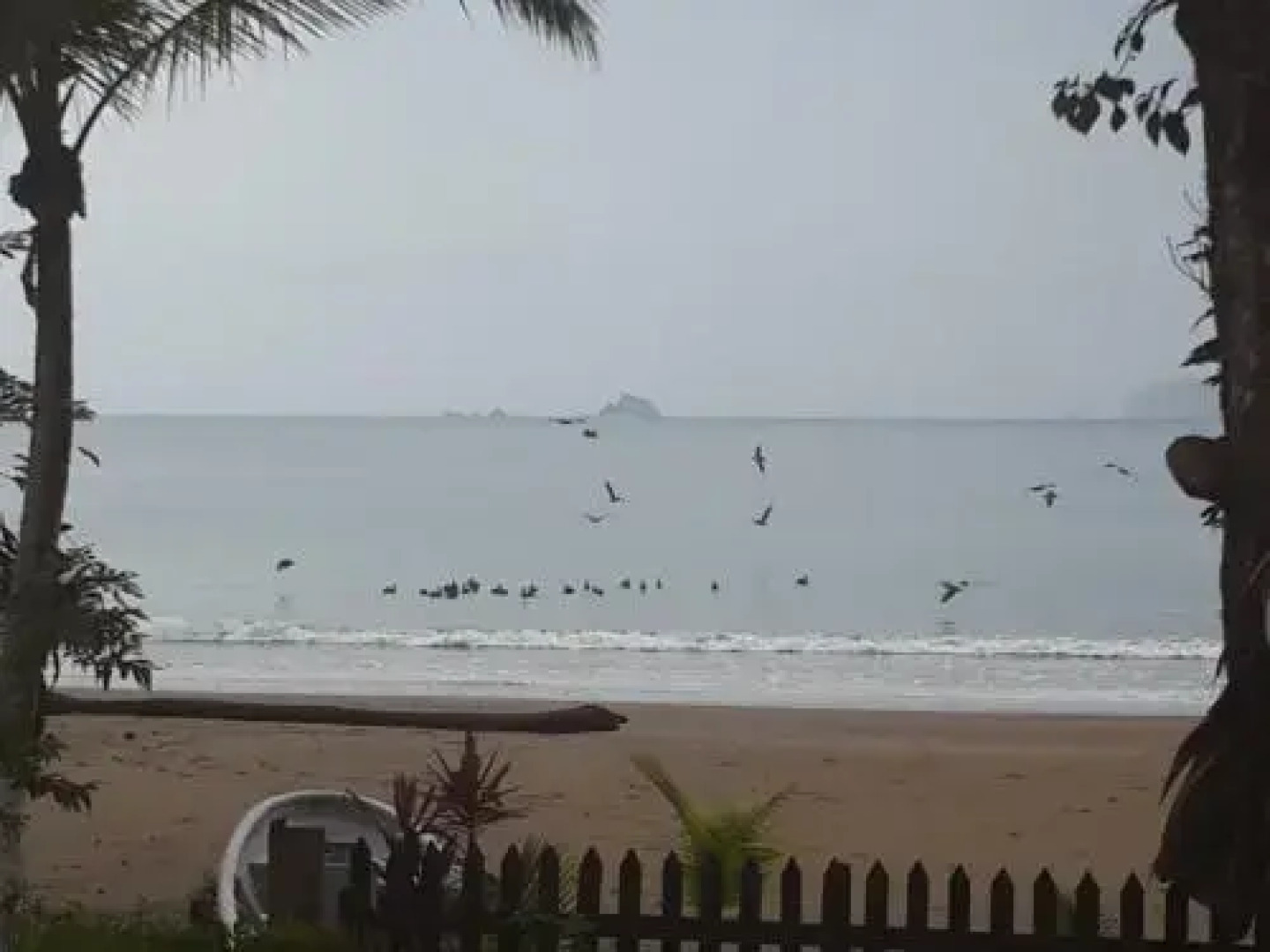 Pacific Sailfish Ecolodge