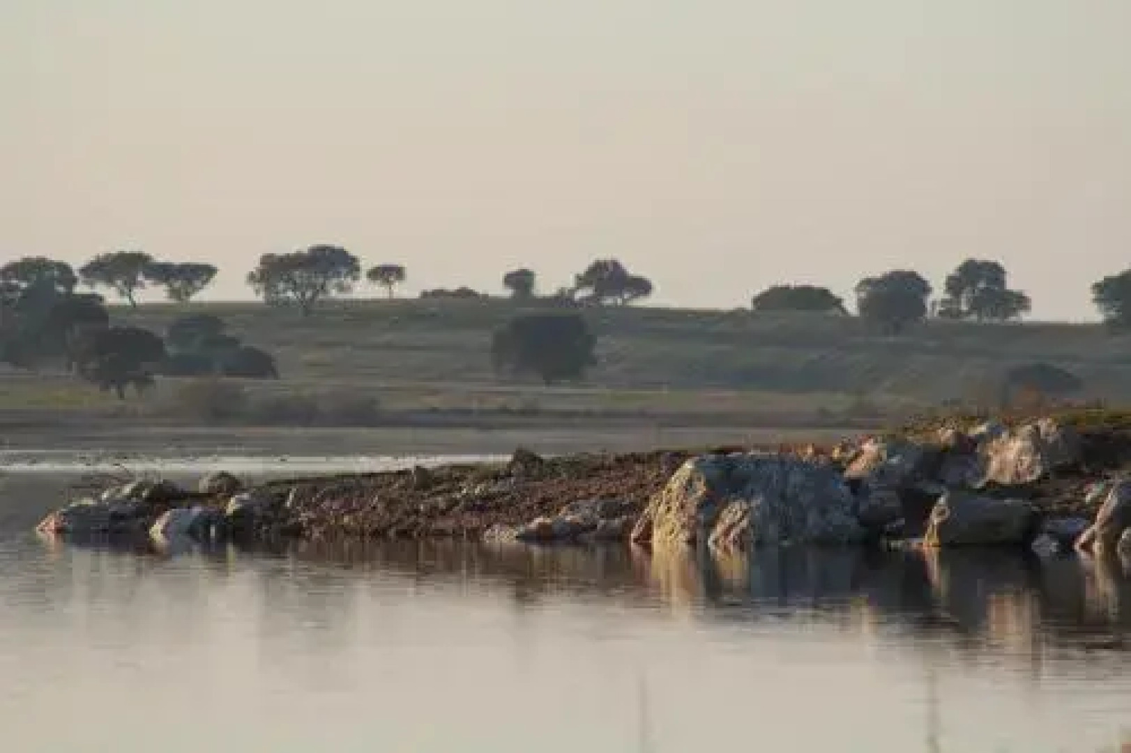 Casa do Roxo - Eco Design Country House