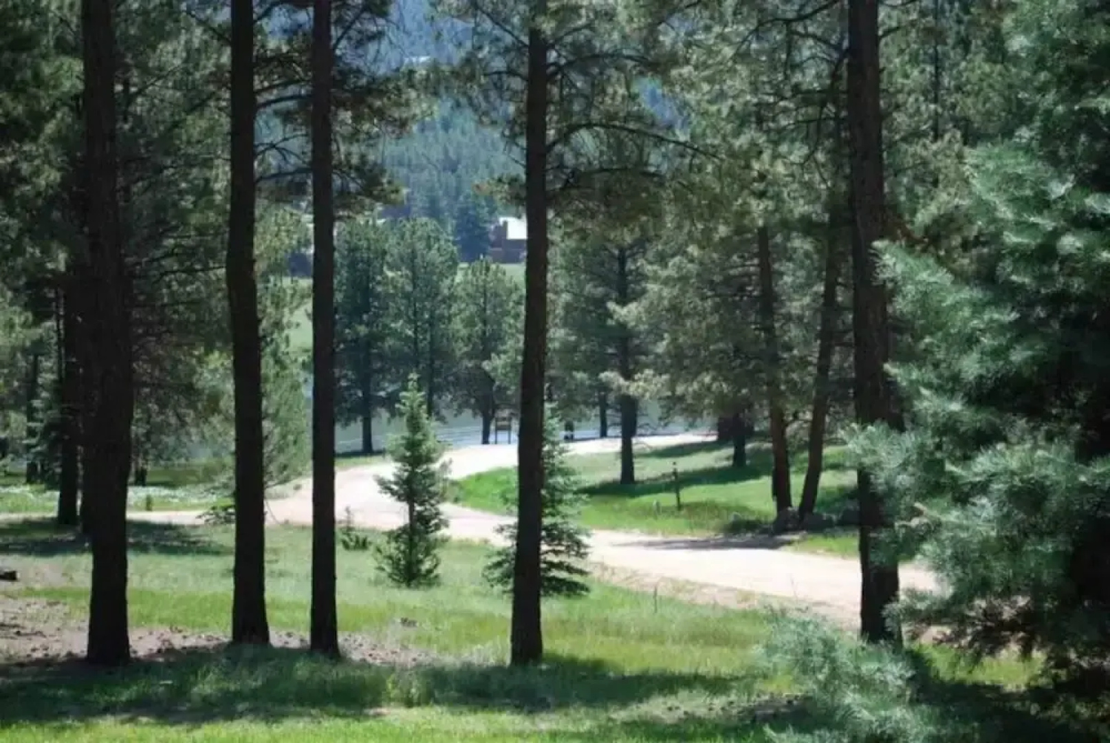 Outdoor Fire Pit, Wildlife Watching, Monte Verde Lake Ponderosa