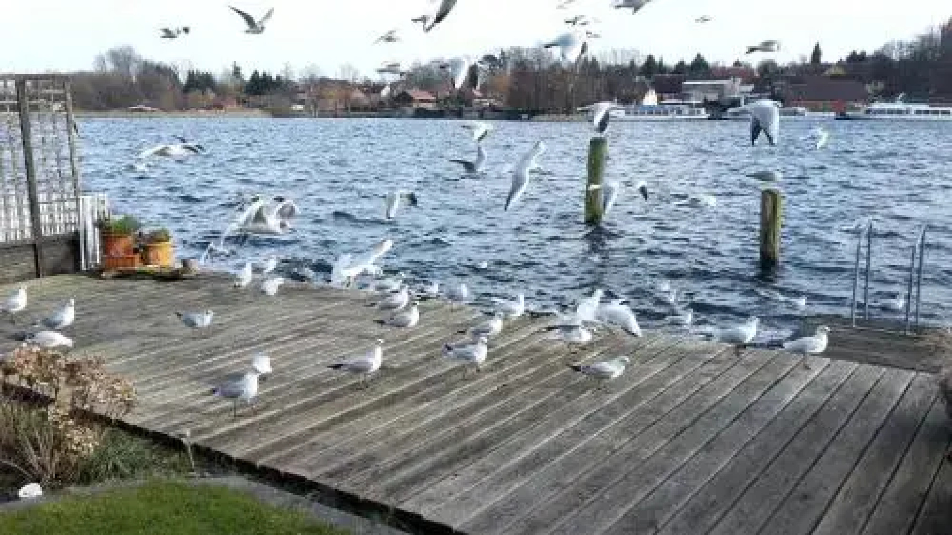 FeWo Direkt Am See - Malchow