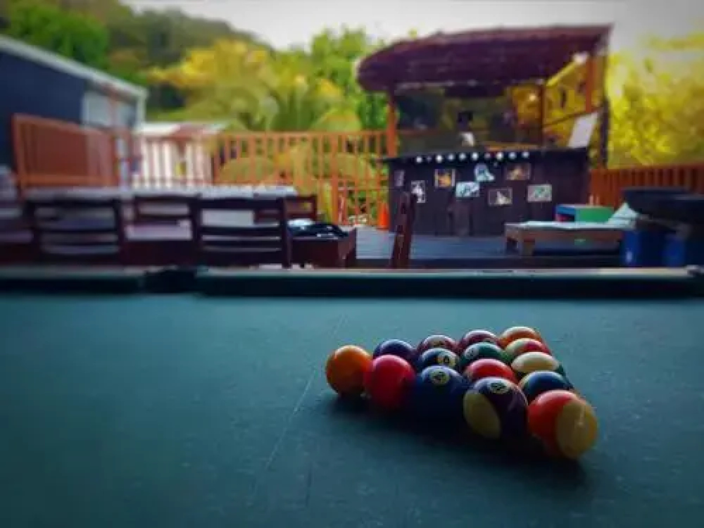 Slow Monkey Hostel