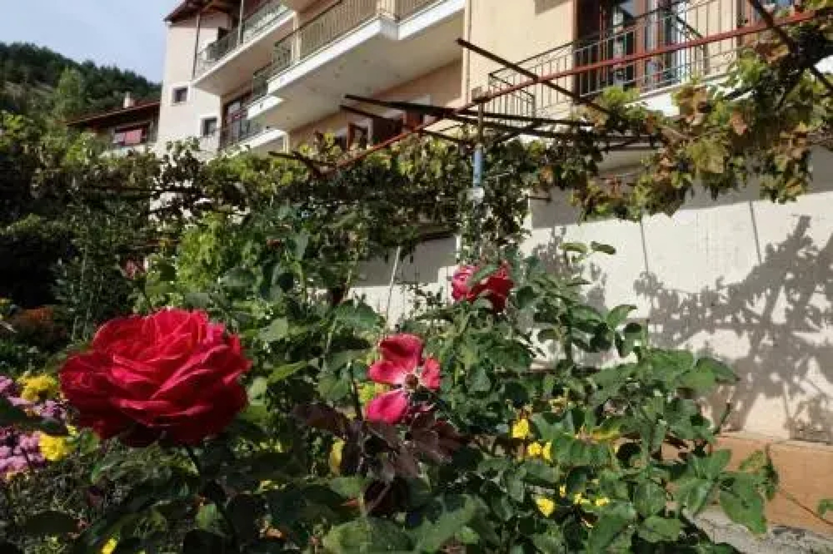 Club Hotel Parnassia