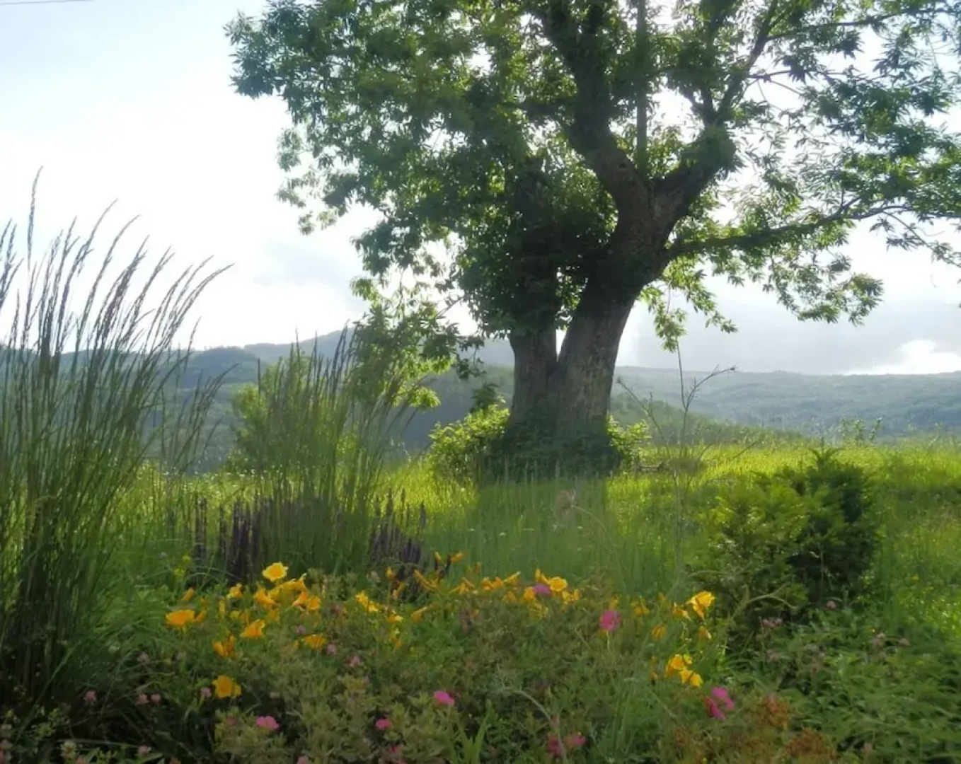 Podere Di Maggio