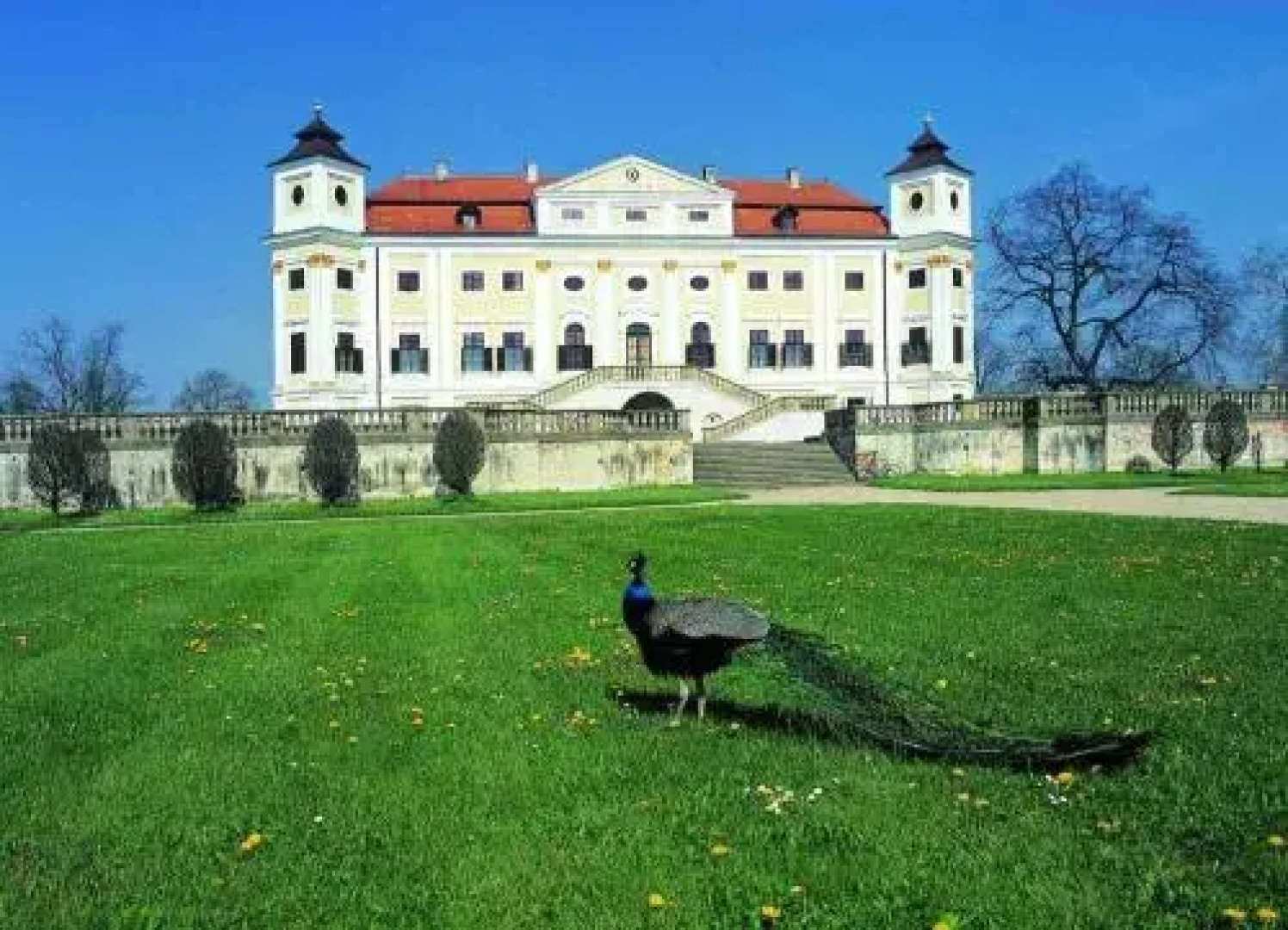 Vacation Home Pani haje