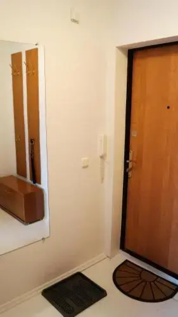Apartment Mouse House