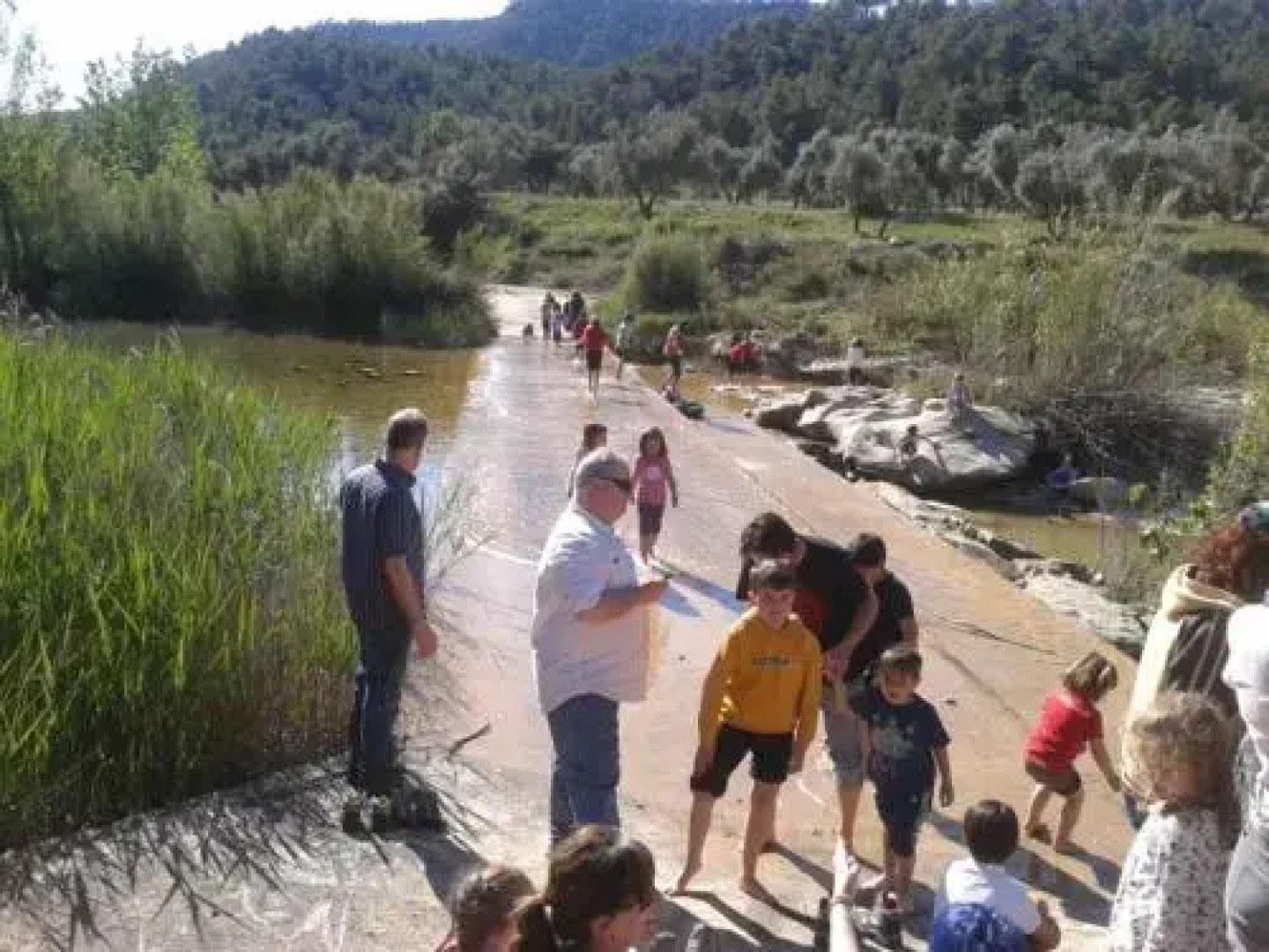 Apartamentos Les Valeres