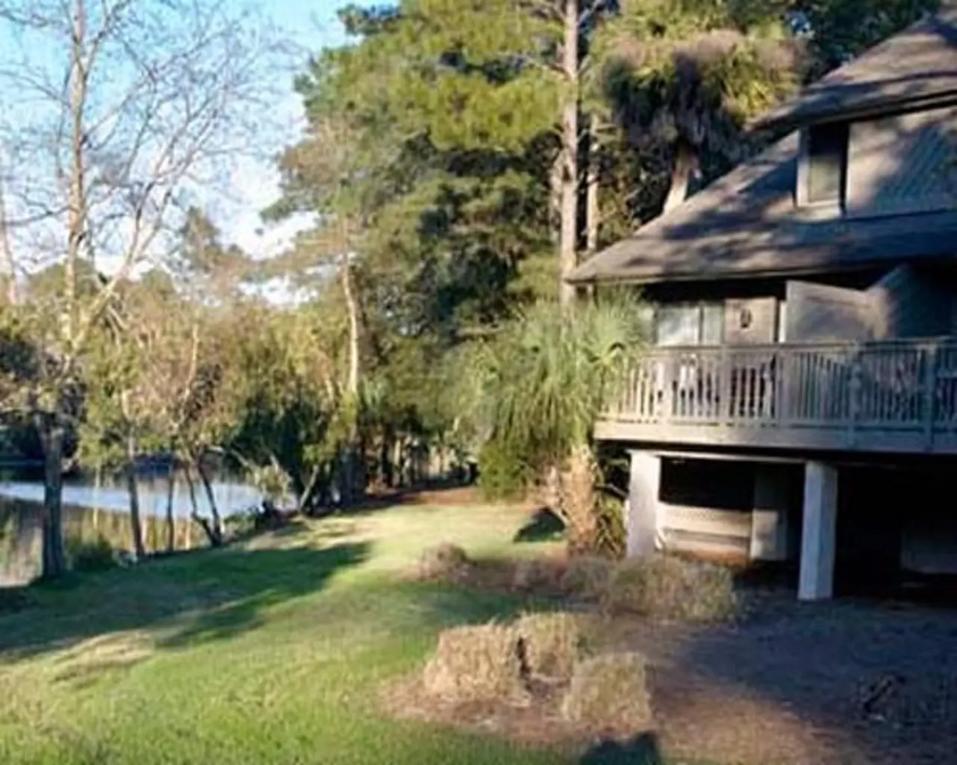 Spicebush at Sea Pines Resort