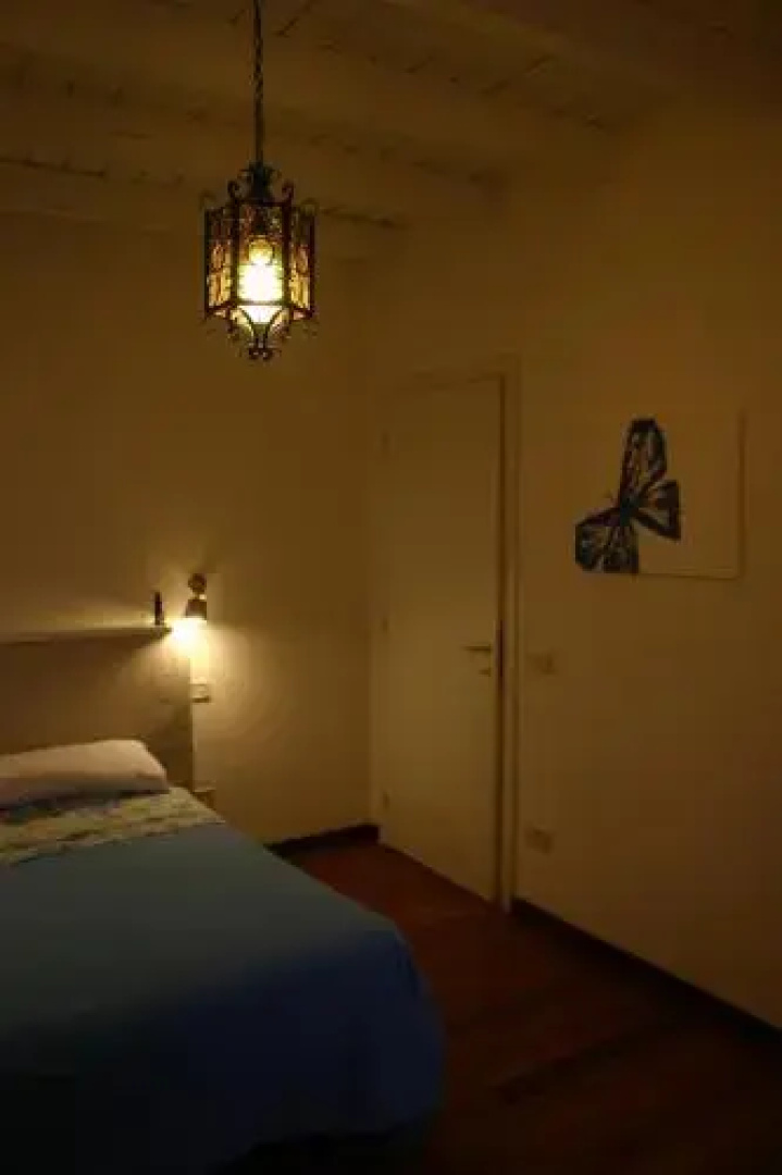 Dragonfly B&B
