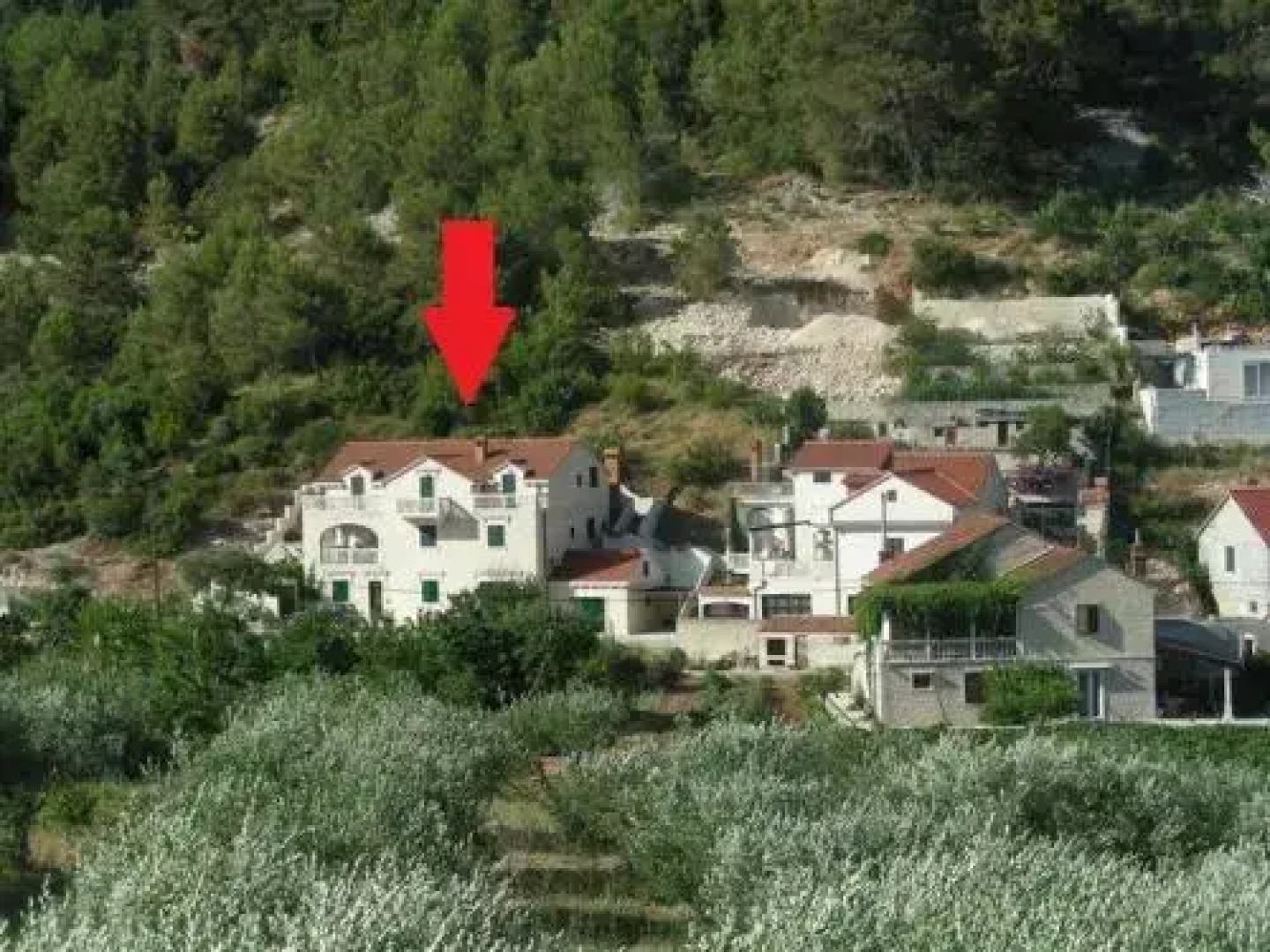 Apartments Renata
