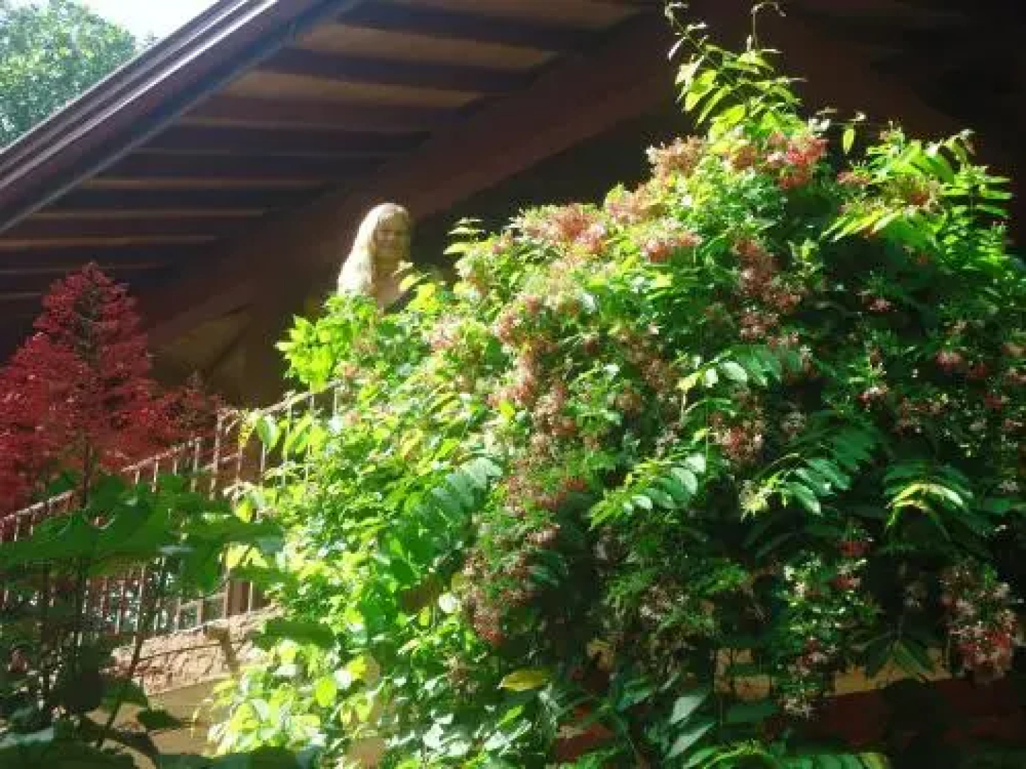 Edelgarden