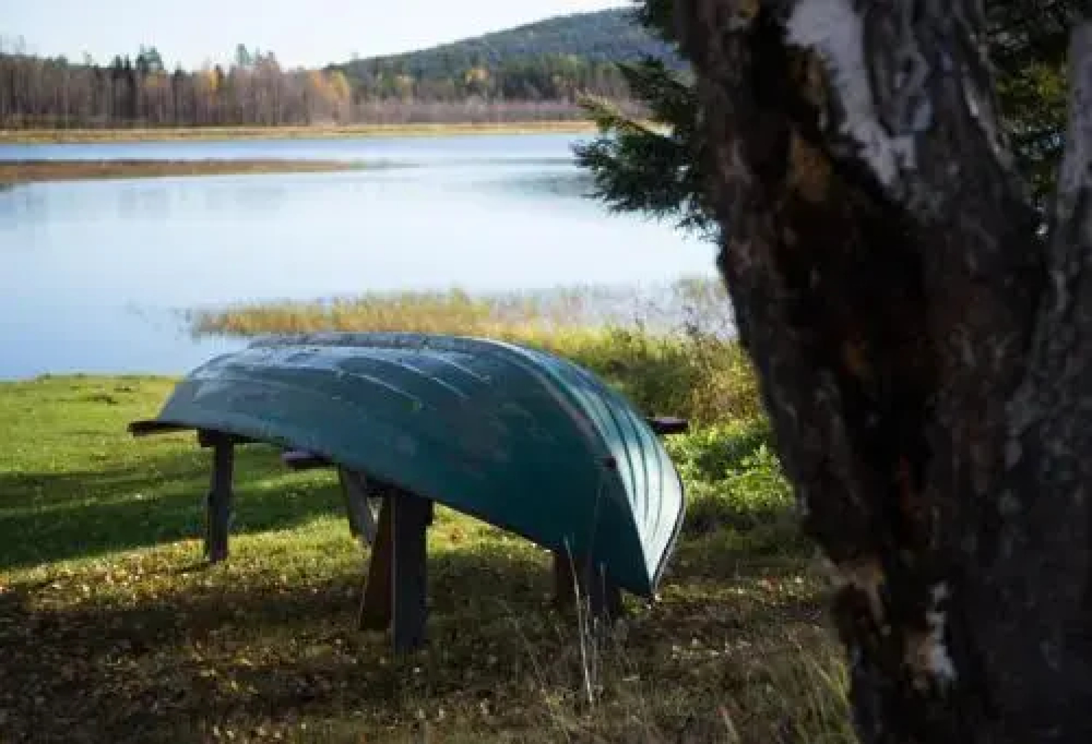 Lansån 46 Guesthouse