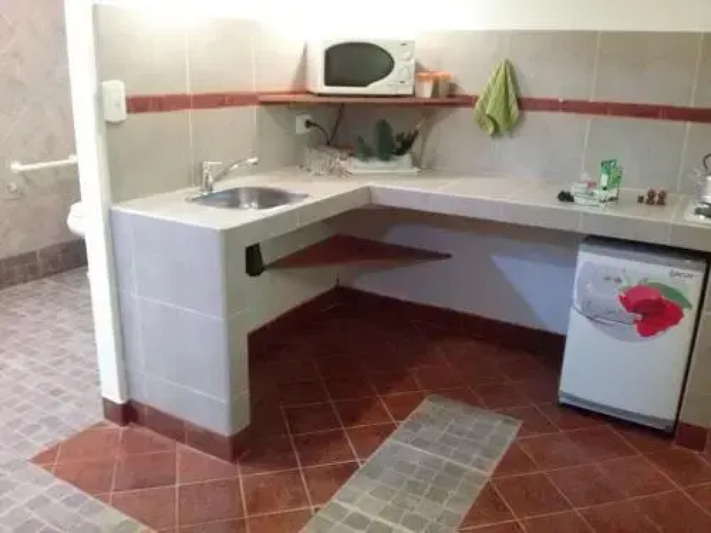 Verde y Sol en la Colonia