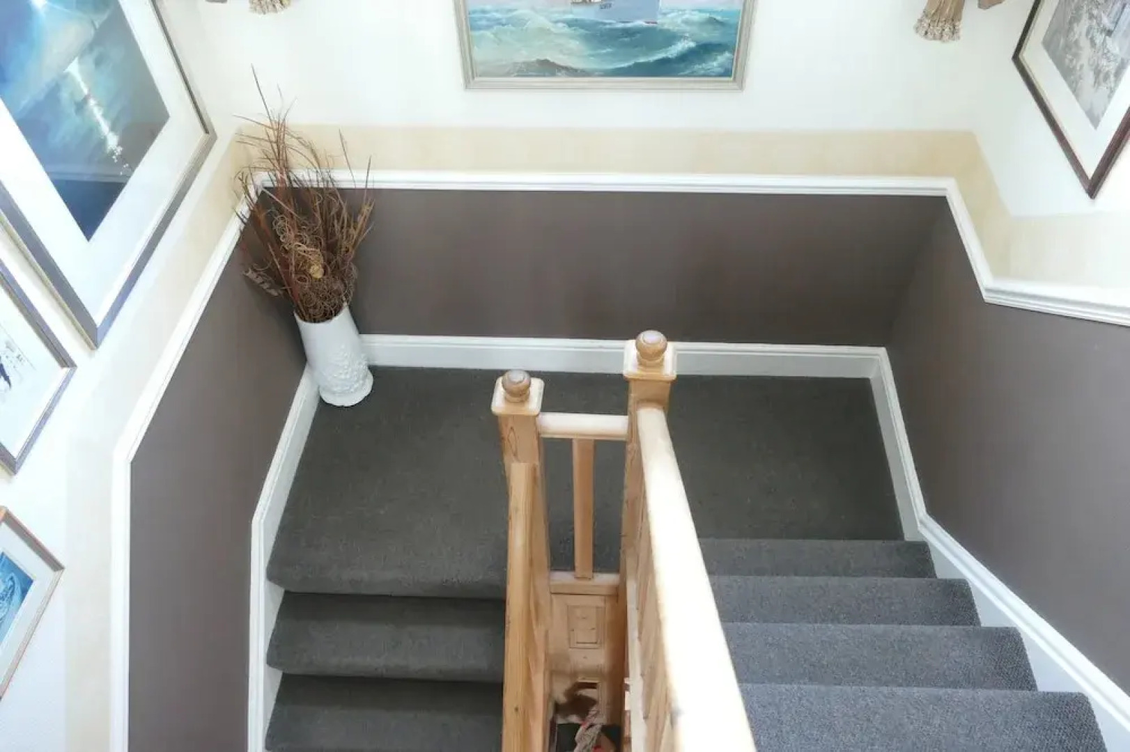 Wild Air Guest House