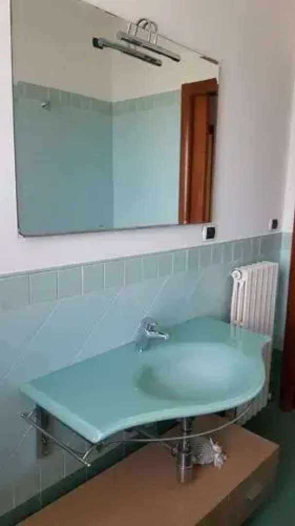 Pini sul Mare