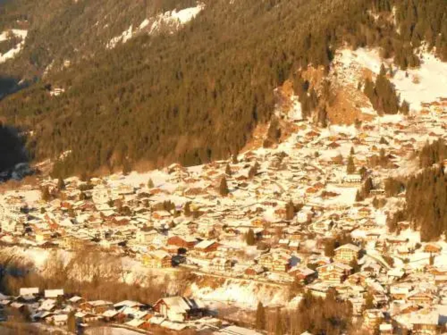 Alpine Lodge 3