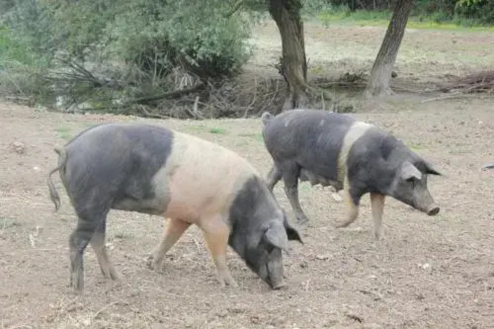 LAntico Casale Marmore