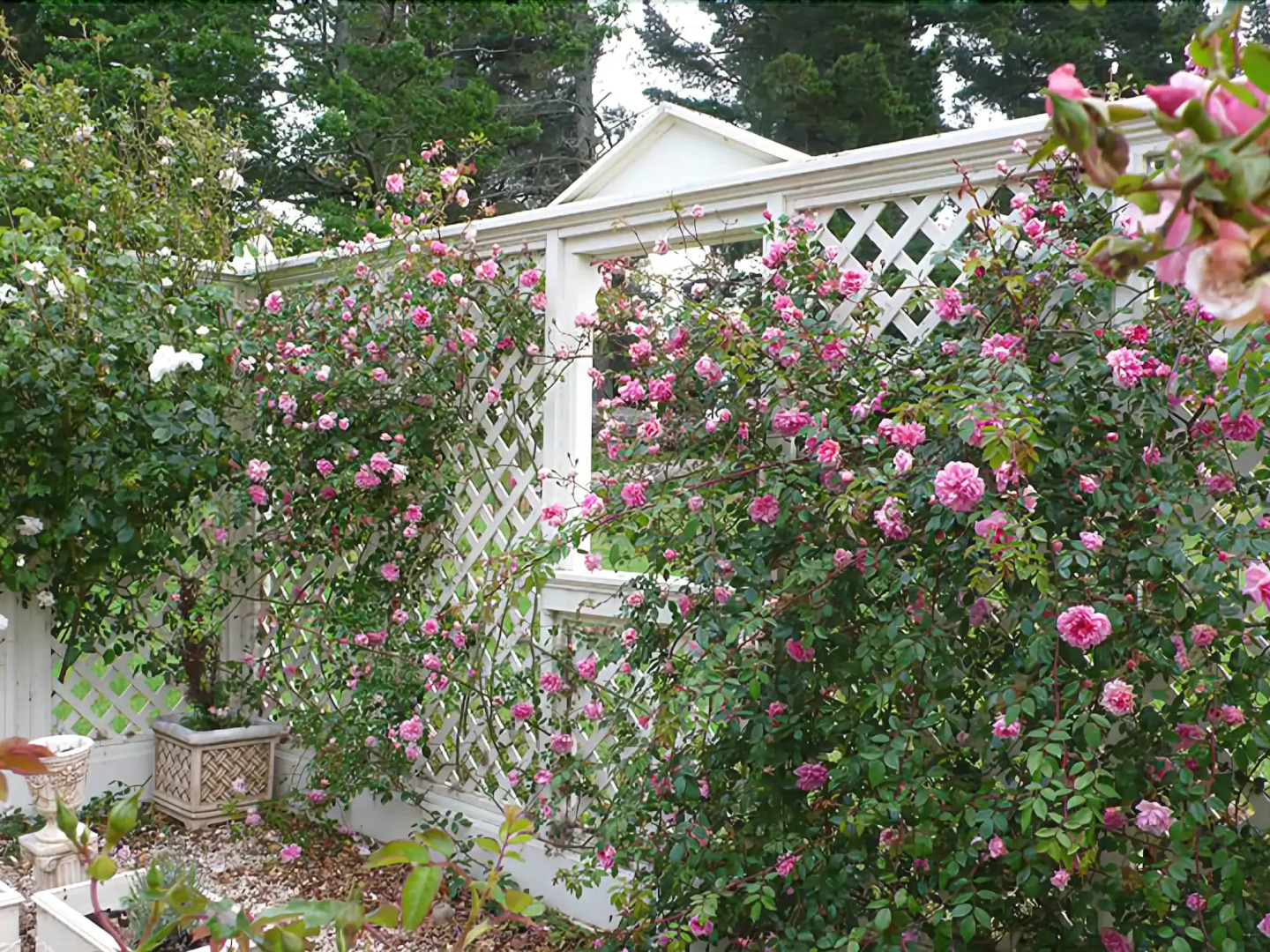 The Stablehand Quarters at Gunyah