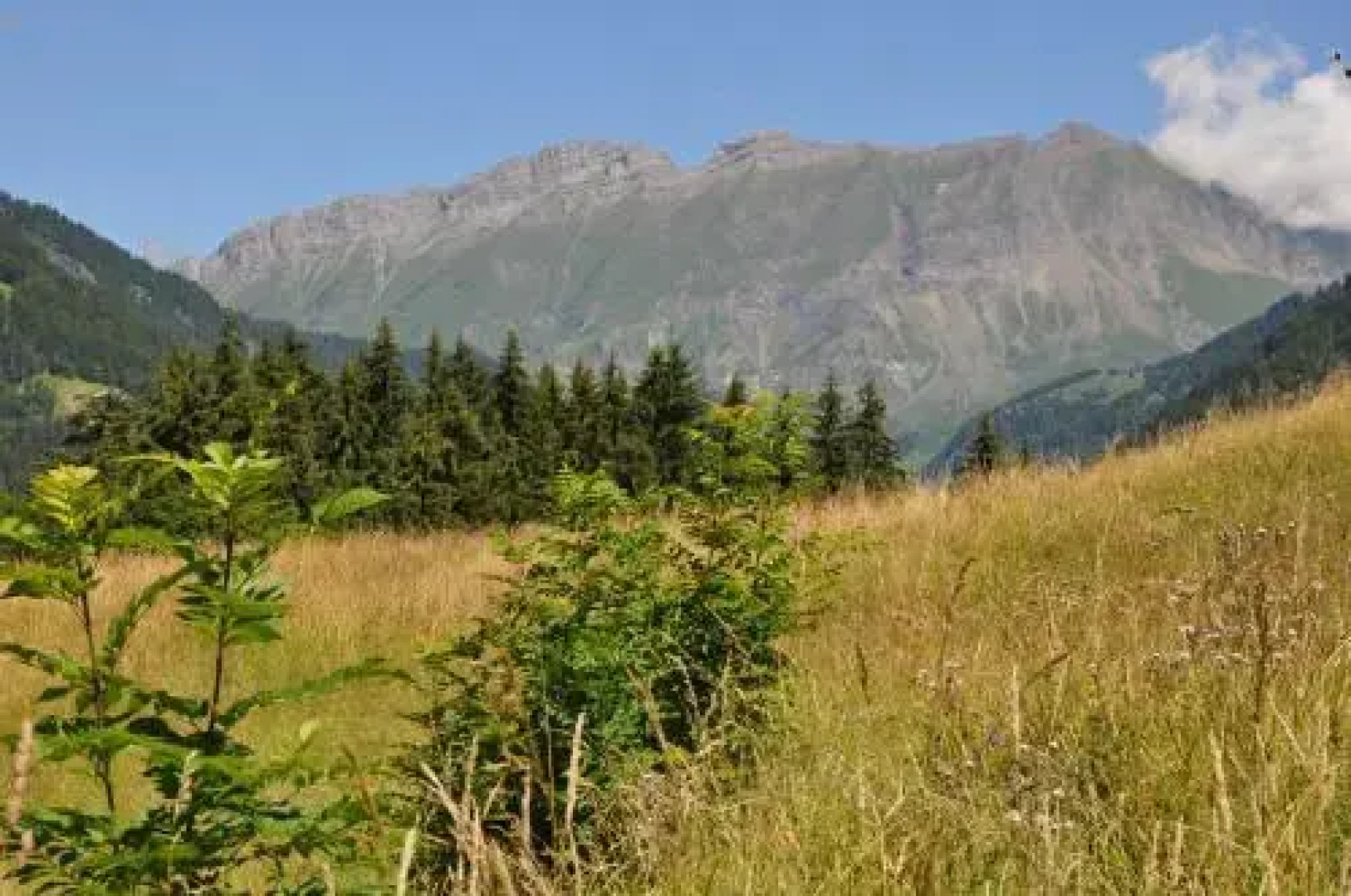 Résidence Les Bruyères