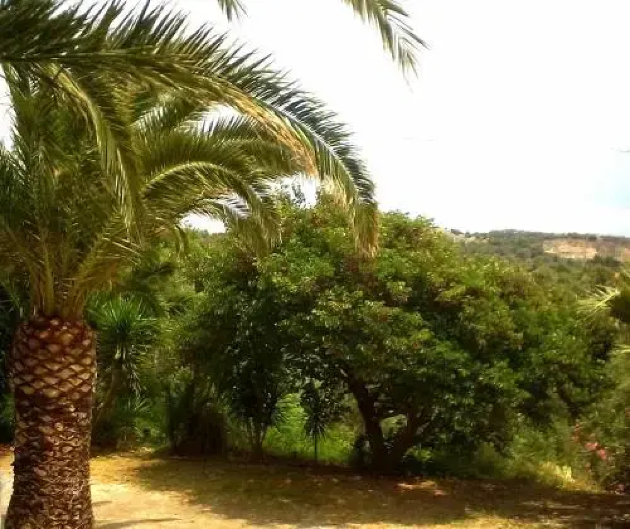 Irini Studios