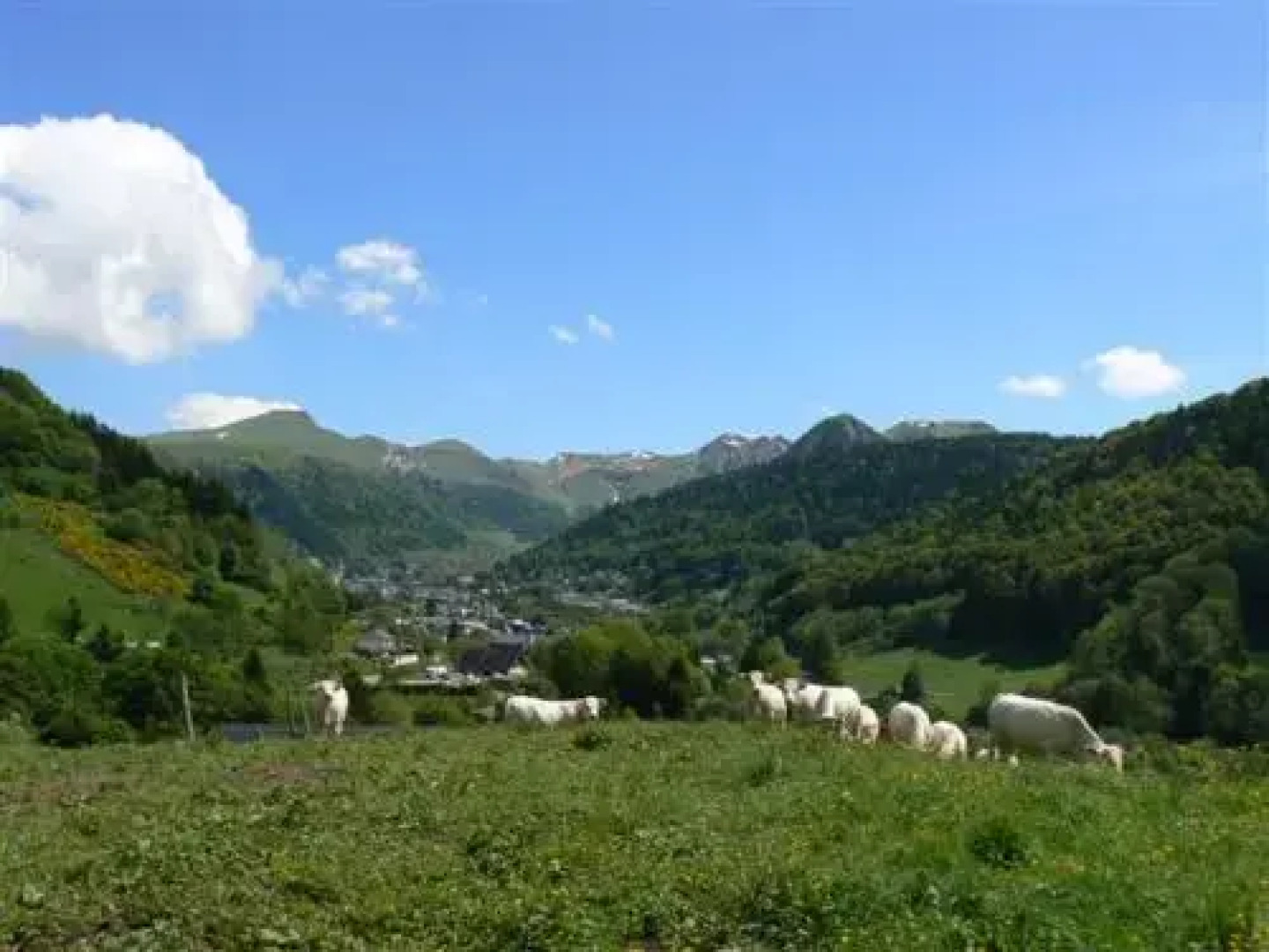 Hotel Le Progrés Dorlotel