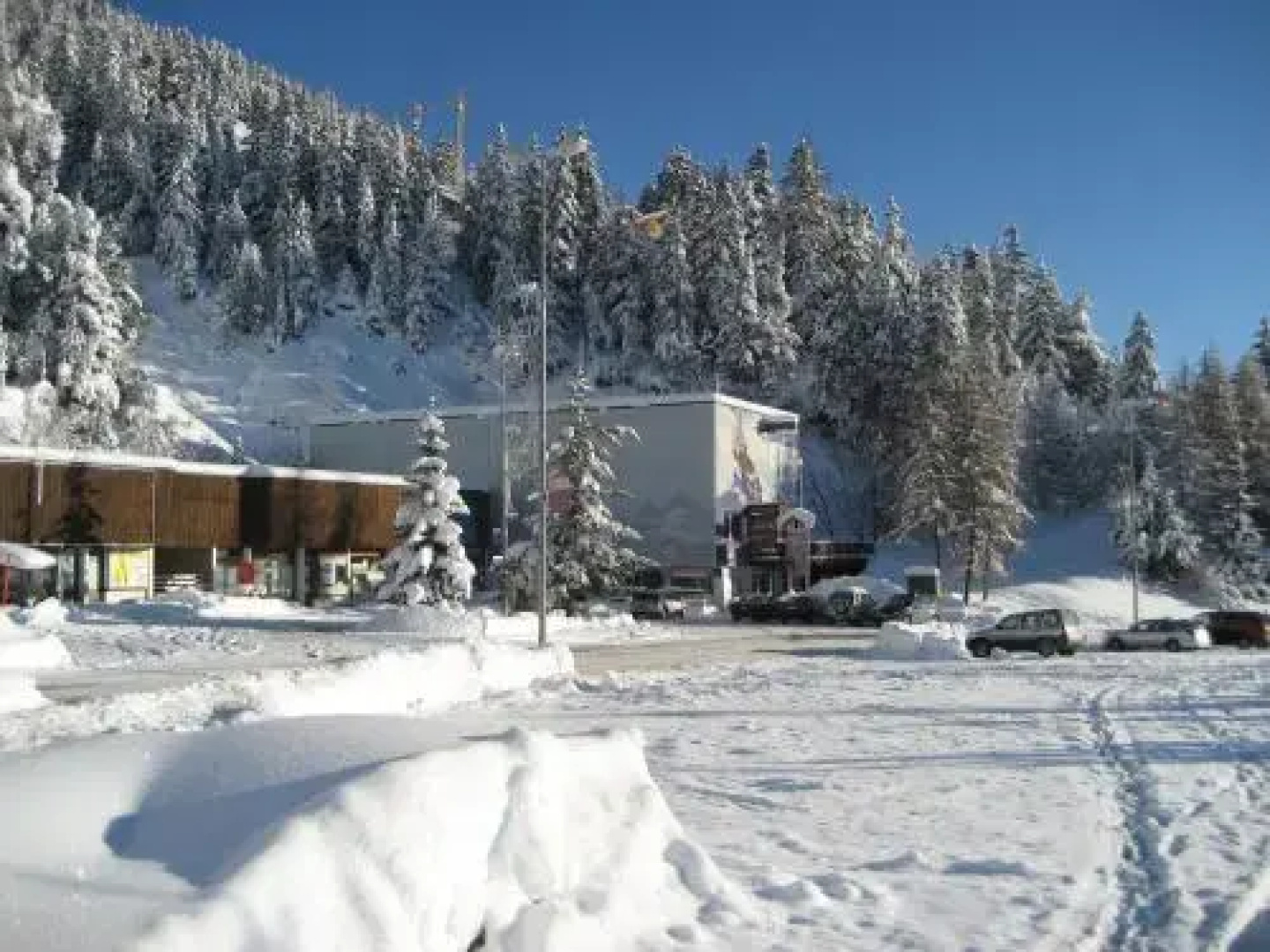 Chalet Xenia