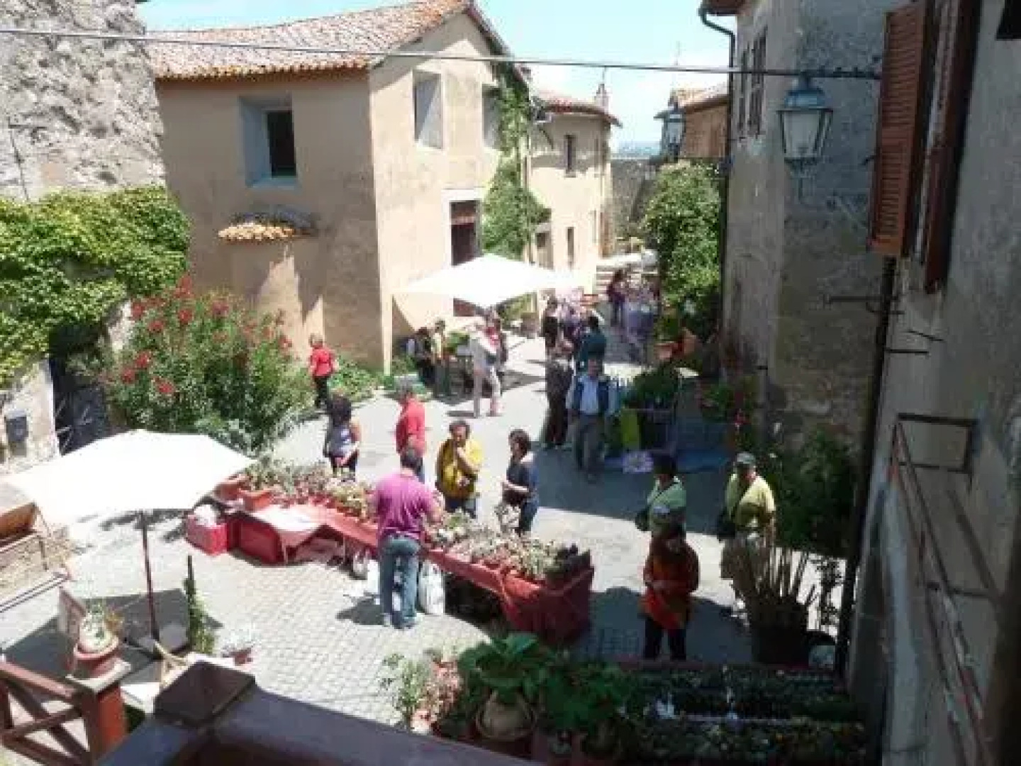 La Giuliva di Pianiano