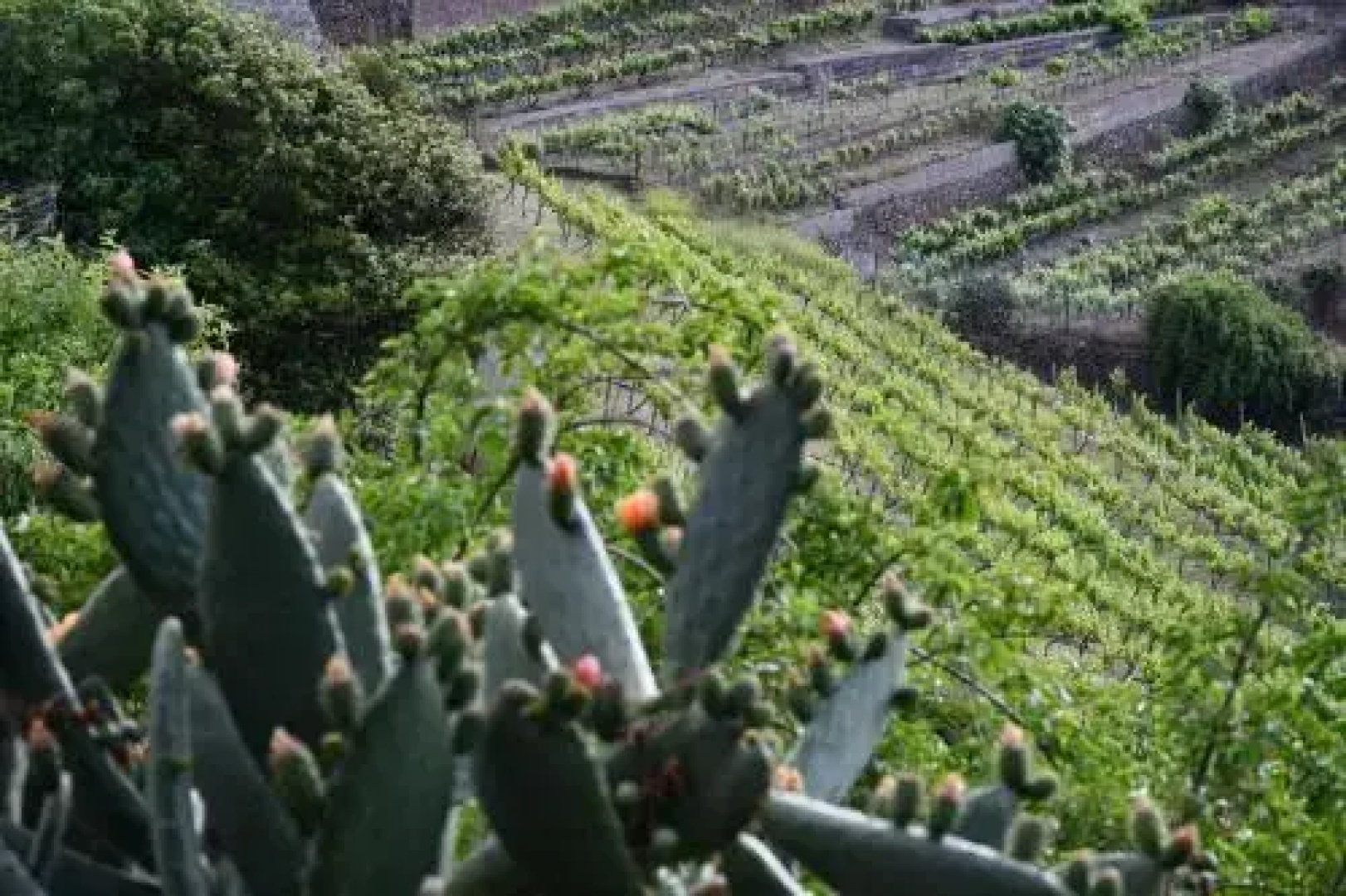 Haciendas del Valle - Casa San Miguel