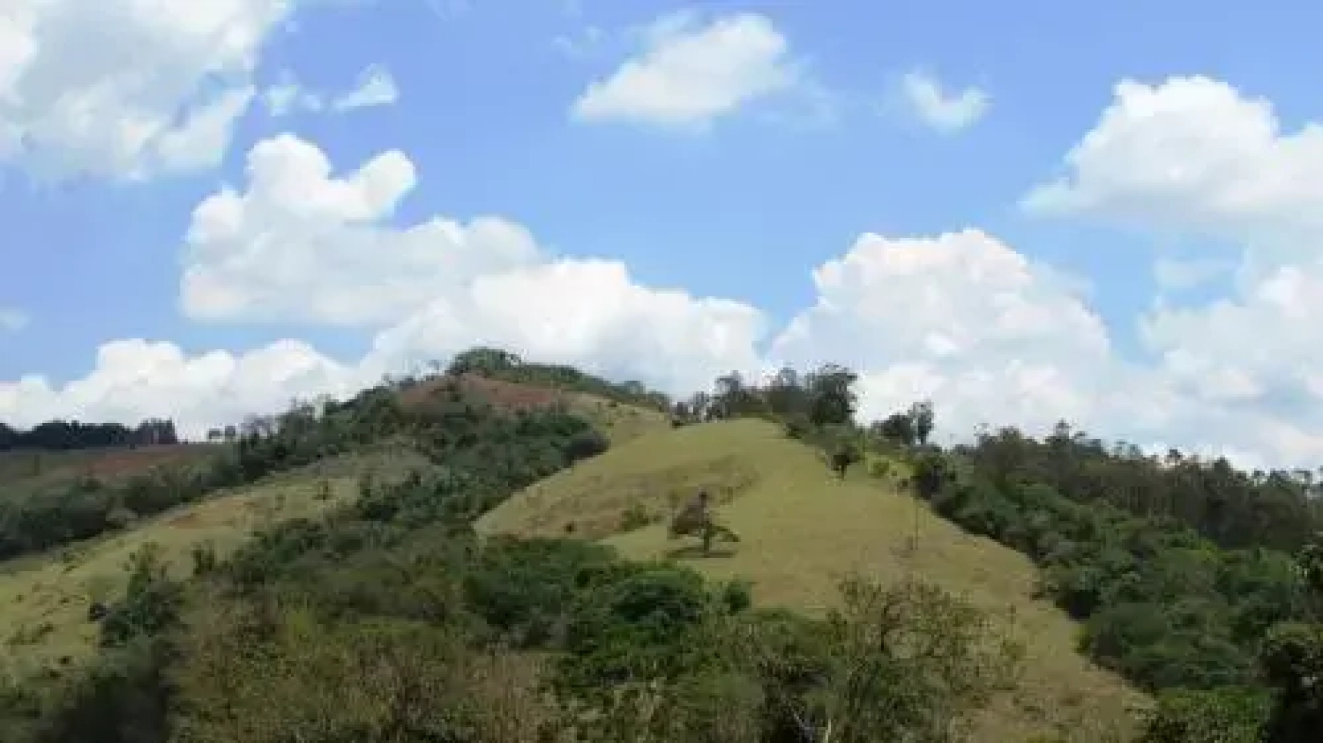 Pousada A Mata que Canta
