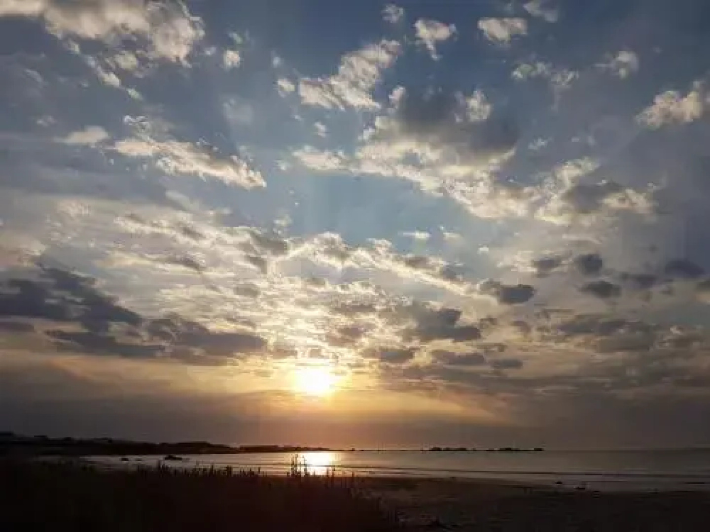 Walvis Self-catering