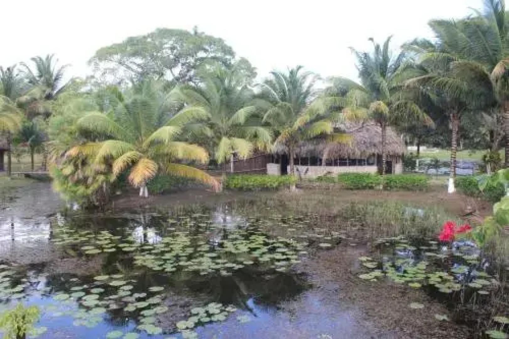 Highway Trails Belize Resort and Country Club