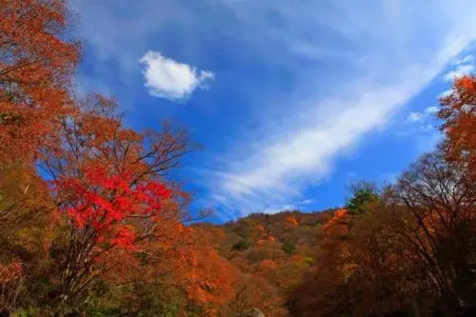 318 Express Motel Guangyuan Micang Mountain