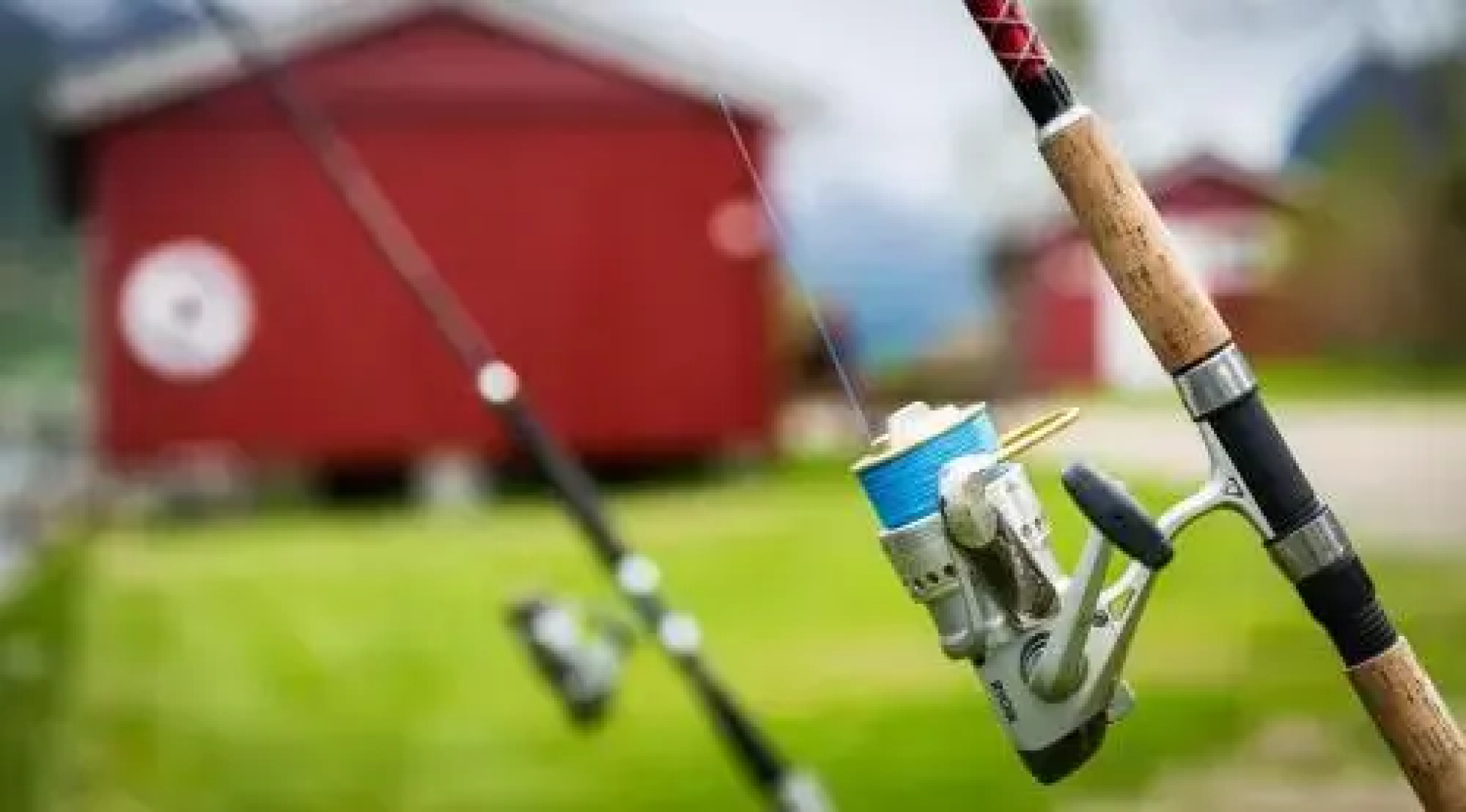 Nesset Fjordcamping