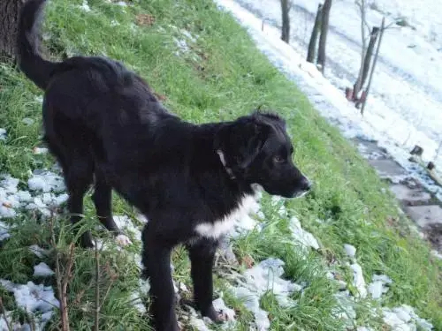 Bed & Breakfast Montesterlino