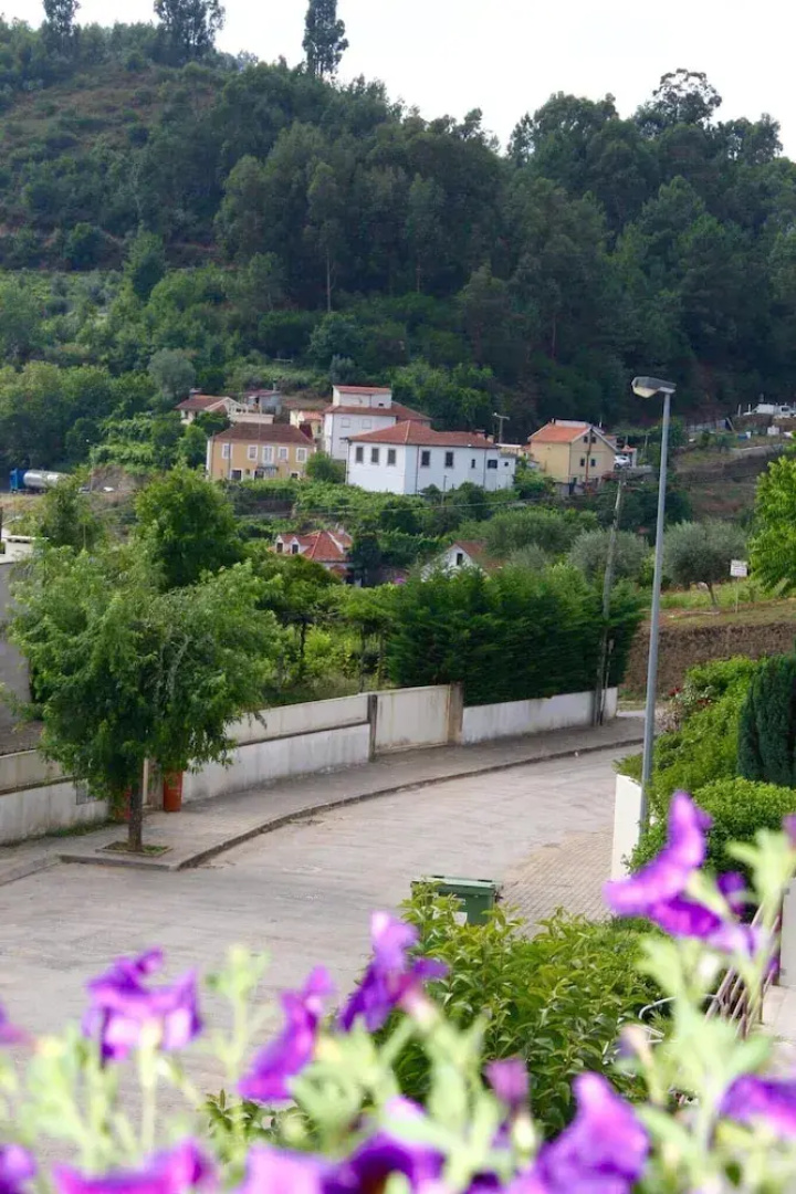 Casa no Douro
