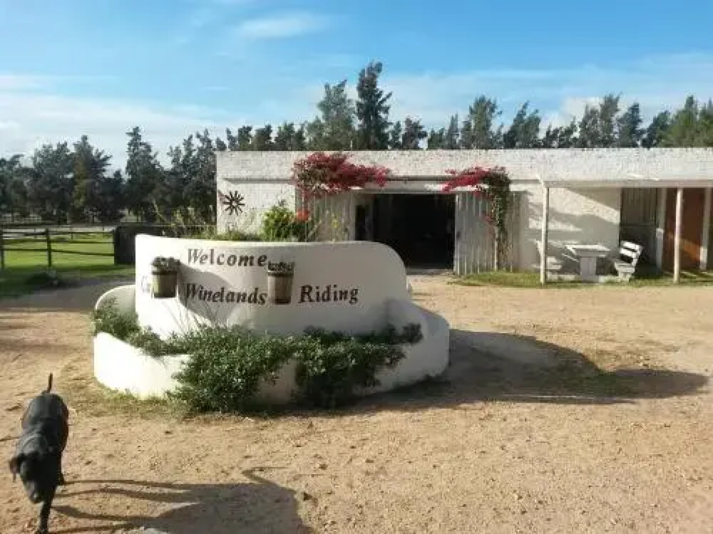 Cape Winelands Riding