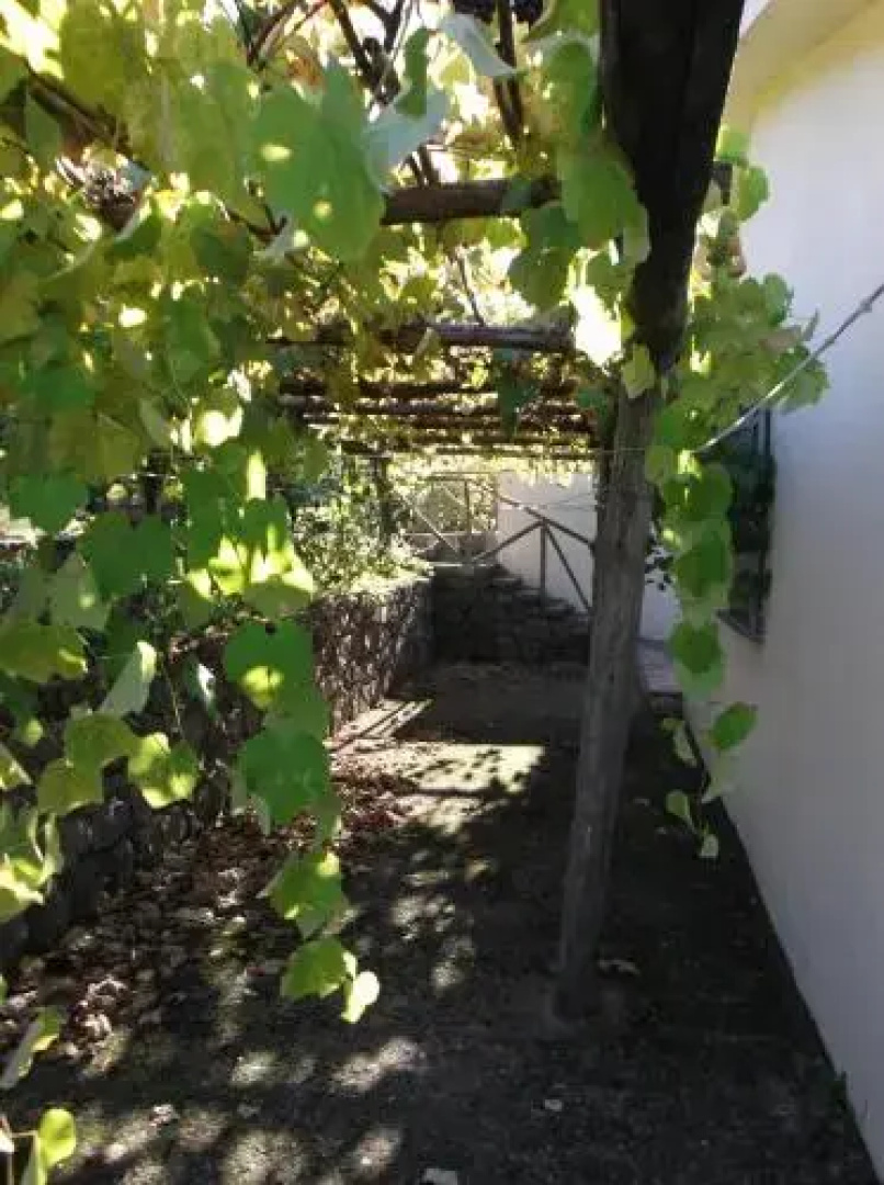 Agriturismo Collevento