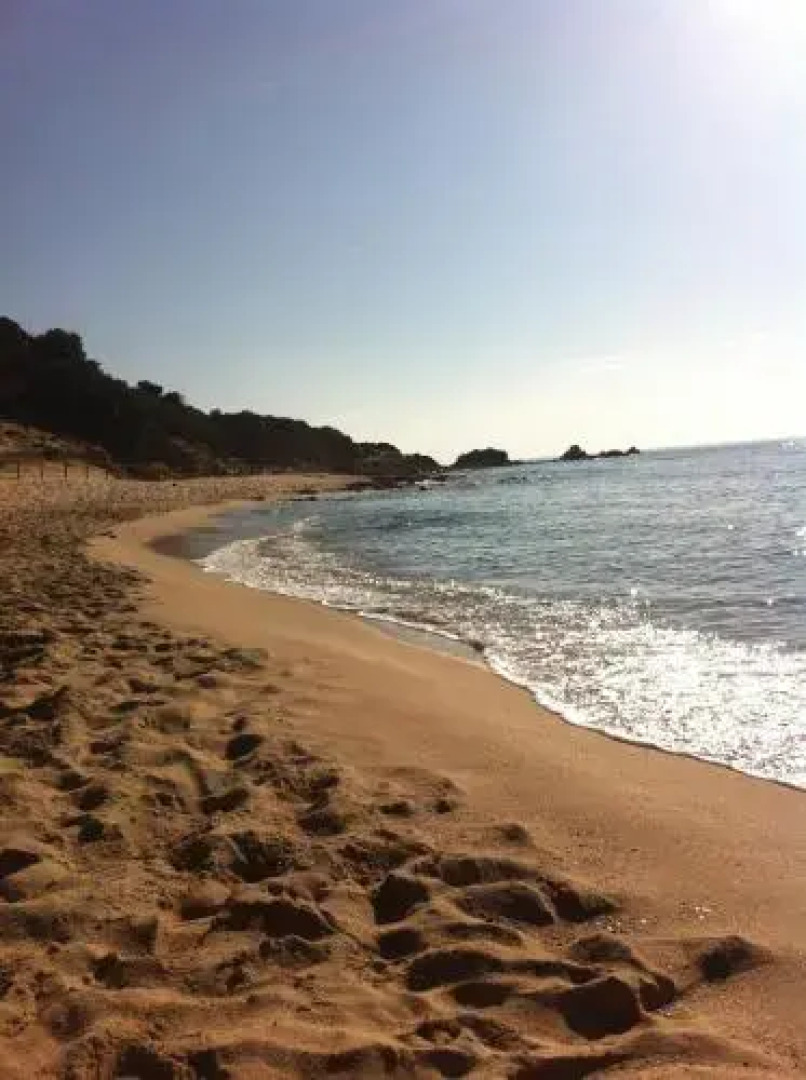 La ginestra Chia B&B