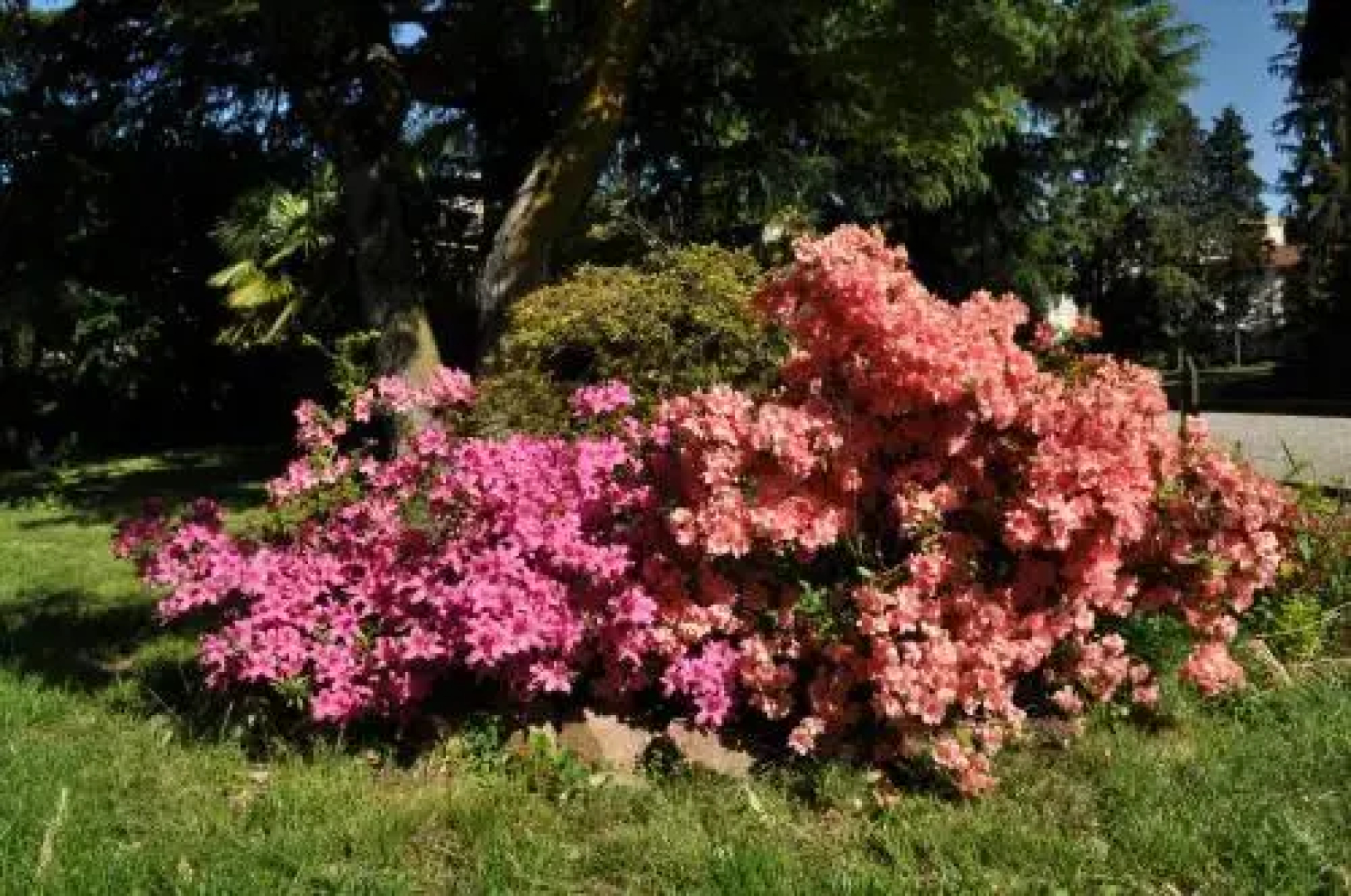 Invilla Bed  Breakfast