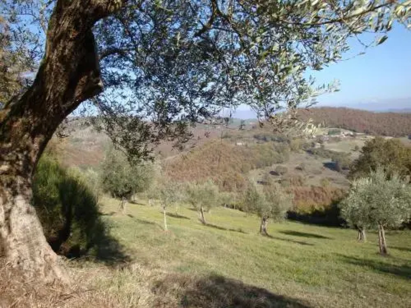 Farm Stay Agriturismo Semidimela