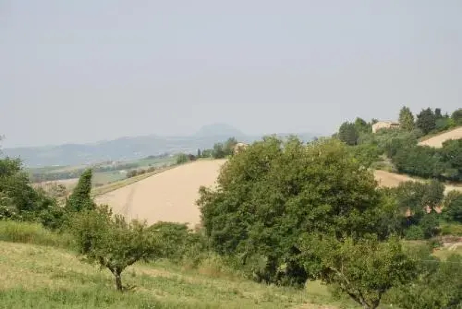 Profumo delle Marche