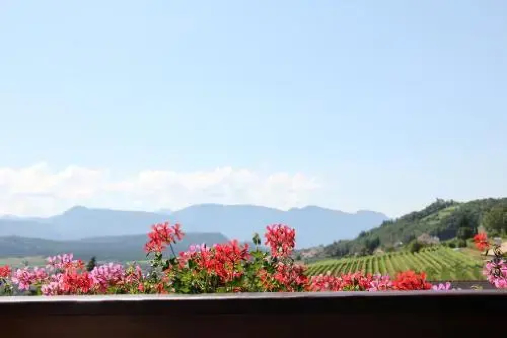 Highlight Apartments