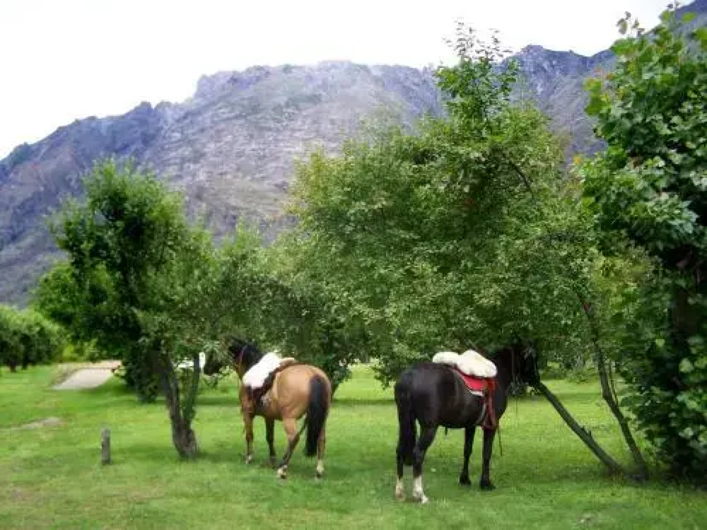 Aldea Los Huemules