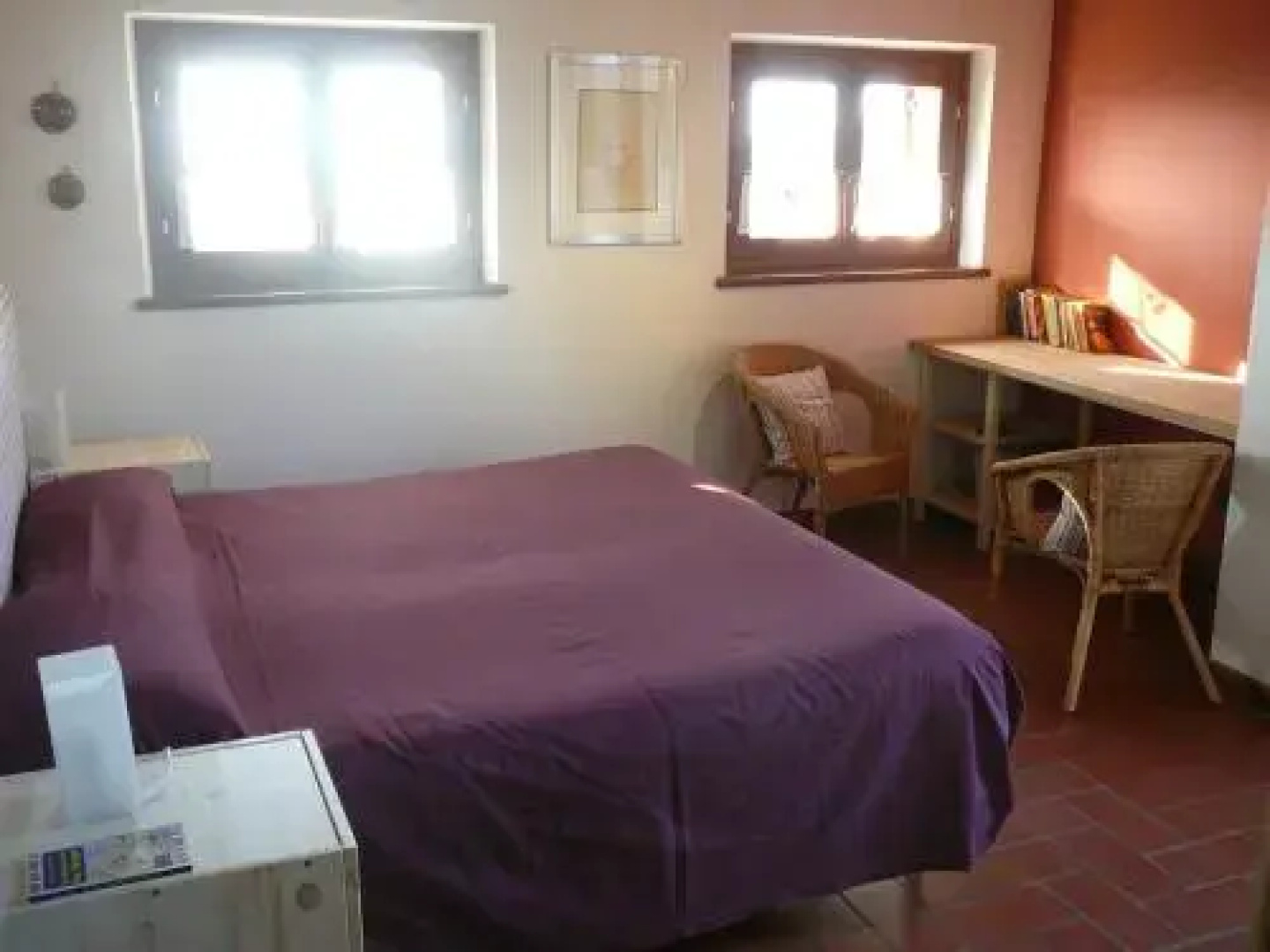 Olivella
