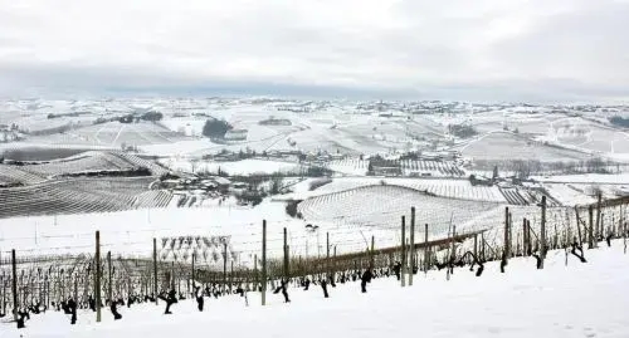 Casa Svizzera Agriturismo