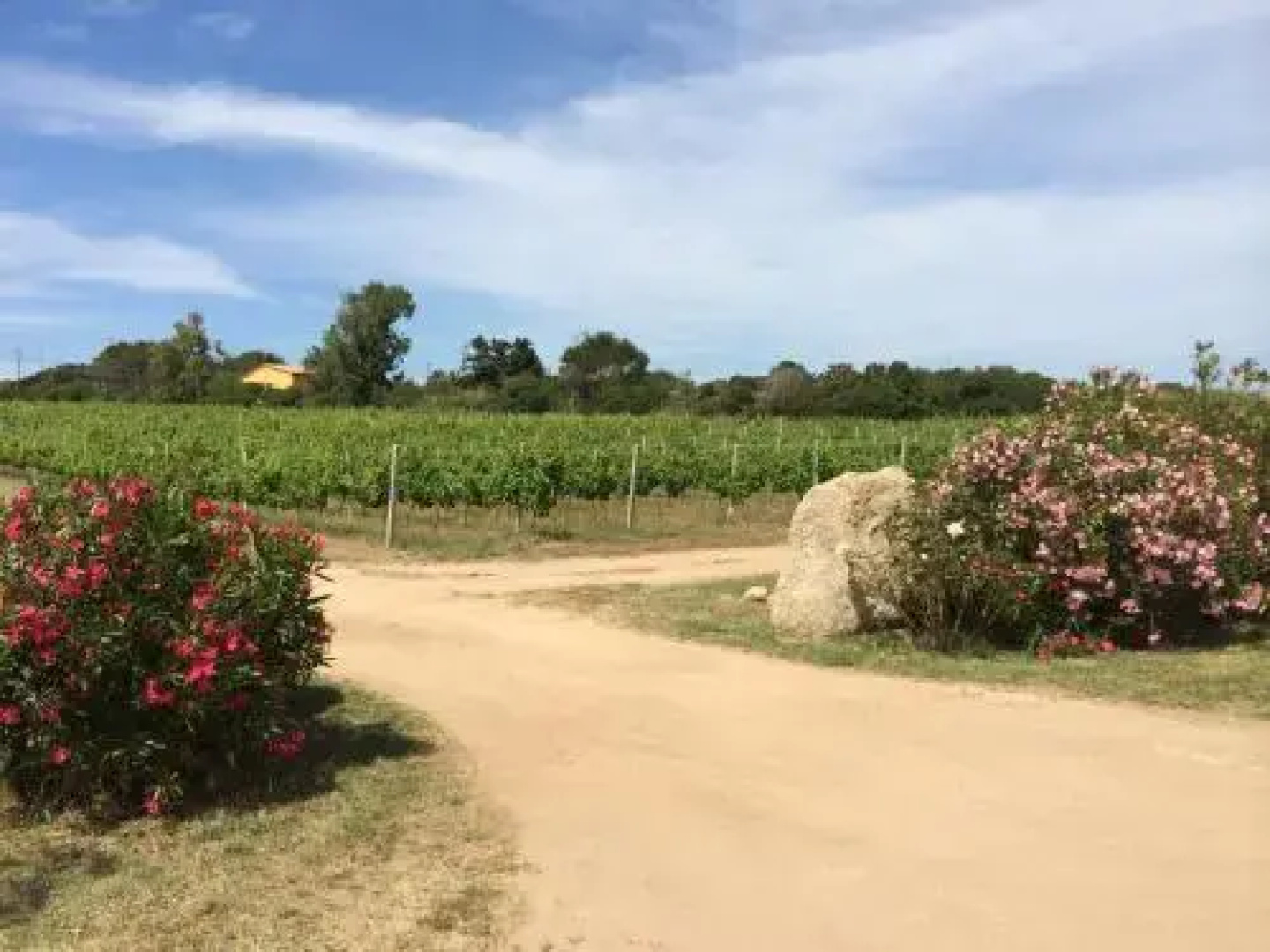 Agriturismo Campesi