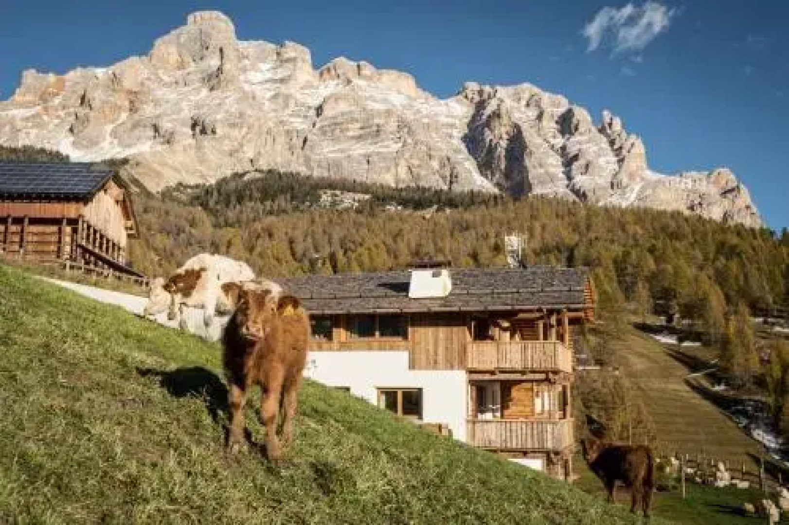 Appartements Chalet Bandiarac